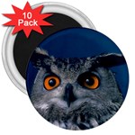 www_pics_am-birds207 3  Magnet (10 pack)