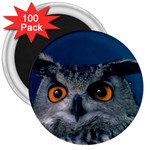 www_pics_am-birds207 3  Magnet (100 pack)