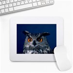 www_pics_am-birds207 Large Mousepad