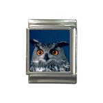 www_pics_am-birds207 Italian Charm (13mm)