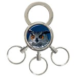 www_pics_am-birds207 3-Ring Key Chain