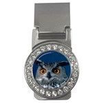 www_pics_am-birds207 Money Clip (CZ)