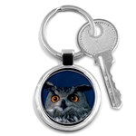 www_pics_am-birds207 Key Chain (Round)