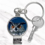 www_pics_am-birds207 Nail Clippers Key Chain