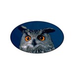 www_pics_am-birds207 Sticker (Oval)