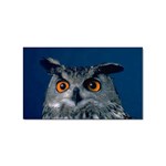 www_pics_am-birds207 Sticker (Rectangular)