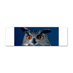 www_pics_am-birds207 Sticker (Bumper)