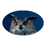 www_pics_am-birds207 Magnet (Oval)