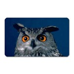www_pics_am-birds207 Magnet (Rectangular)