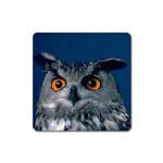 www_pics_am-birds207 Magnet (Square)