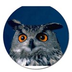 www_pics_am-birds207 Magnet 5  (Round)