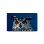 www_pics_am-birds207 Magnet (Name Card)