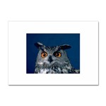 www_pics_am-birds207 Sticker A4 (100 pack)
