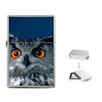 www_pics_am-birds207 Flip Top Lighter