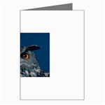 www_pics_am-birds207 Greeting Card