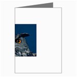 www_pics_am-birds207 Greeting Cards (Pkg of 8)
