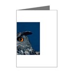 www_pics_am-birds207 Mini Greeting Card