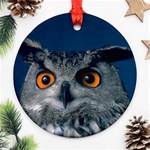 www_pics_am-birds207 Round Ornament (Two Sides)