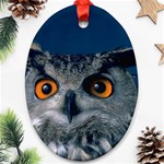 www_pics_am-birds207 Oval Ornament (Two Sides)
