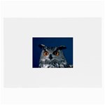 www_pics_am-birds207 Glasses Cloth (Large)