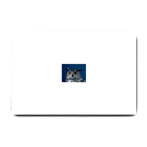 www_pics_am 24 x16  Door Mat