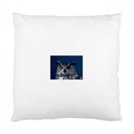 www_pics_am-birds207 Cushion Case (Two Sides)