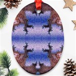 bioboom_xp-632179 Ornament (Oval)