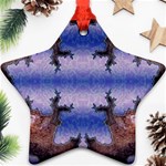 bioboom_xp-632179 Ornament (Star)