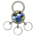 bluegold01b-709182 3-Ring Key Chain