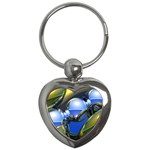 bluegold01b-709182 Key Chain (Heart)