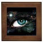 eye-538468 Framed Tile