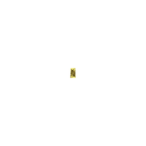 gold Front