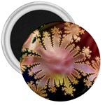 abstract-flowers-984772 3  Magnet