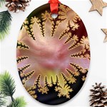 abstract-flowers-984772 Ornament (Oval)