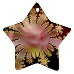 abstract-flowers-984772 Ornament (Star)