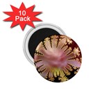 abstract-flowers-984772 1.75  Magnet (10 pack) 