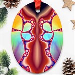 Cyber_Mirror-364694 Ornament (Oval)