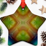 Bobo-660847 Ornament (Star)