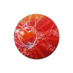 9-700-Fwallpapers_068 Rubber Coaster (Round)