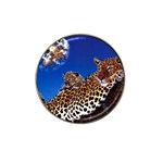 2-74-Animals-Wildlife-1024-007 Hat Clip Ball Marker (4 pack)