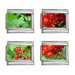 other_photos_3 9mm Italian Charm (4 pack)