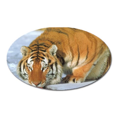 tiger_4 Magnet (Oval) from ArtsNow.com Front