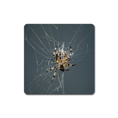 The Web Master Magnet (Square) from ArtsNow.com Front