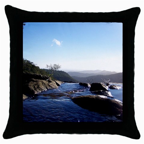 100_0405 Throw Pillow Case (Black) from ArtsNow.com Front