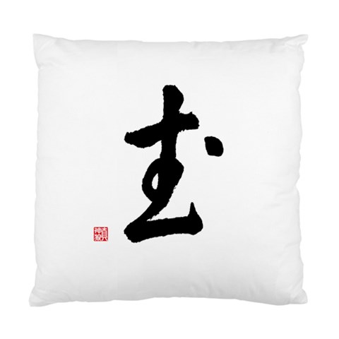 Kung Fu Cushion Case (One Side) from ArtsNow.com Front