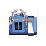 Inflatable-Dolphin-Slide-Combo-GC-4- Magnet (Square)