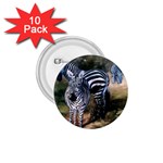 Zebras 1.75  Button (10 pack) 