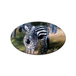 Zebras Sticker (Oval)