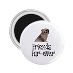 Shih Tzu friends 2.25  Magnet