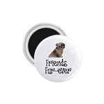 Shih Tzu friends 1.75  Magnet